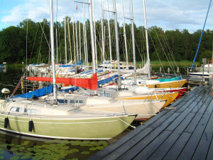 SM_2015_Foto_B_Hedin.jpg