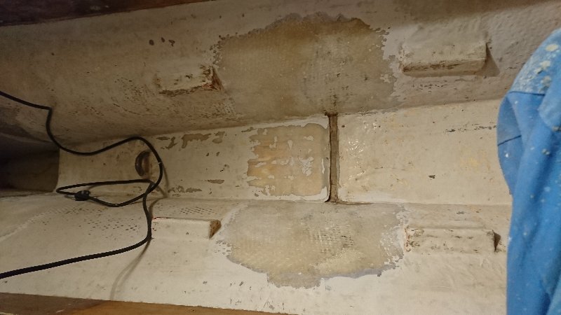 DSC_1394.JPG