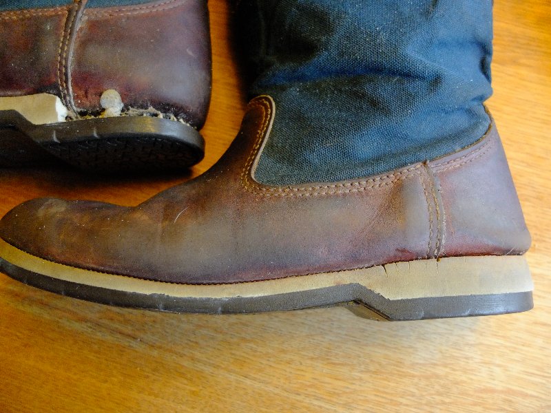 Dubarry Shamrock 02