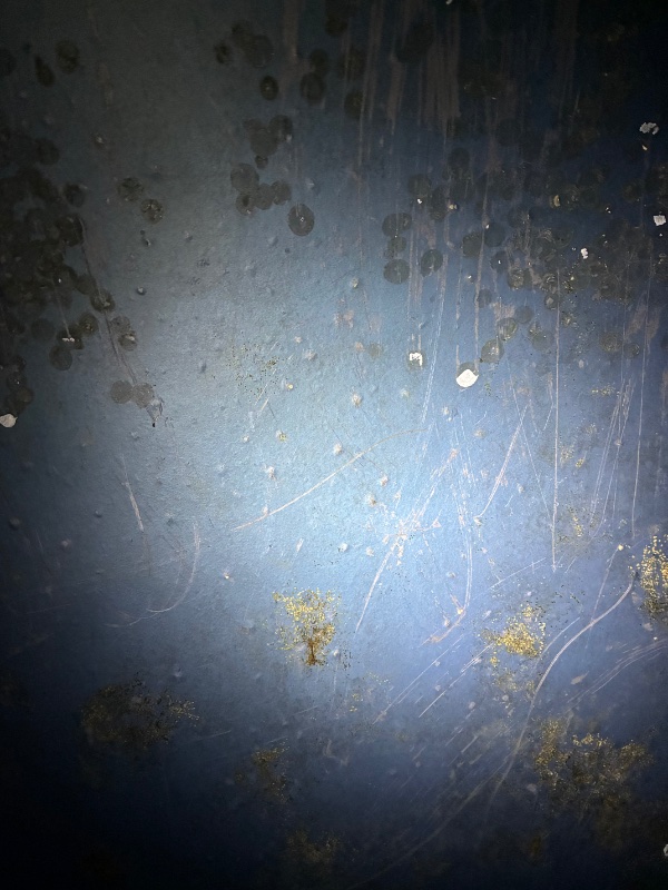IMG_1038.jpeg